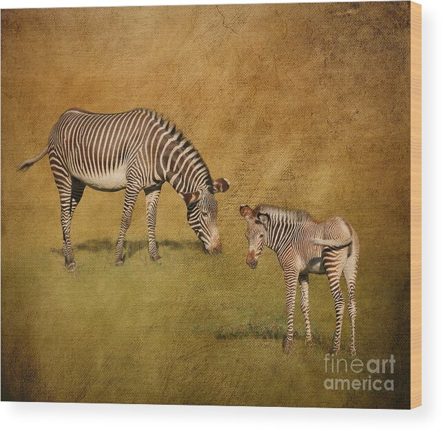 Zebras Wood Print featuring the digital art Mother and Child by Jayne Carney
