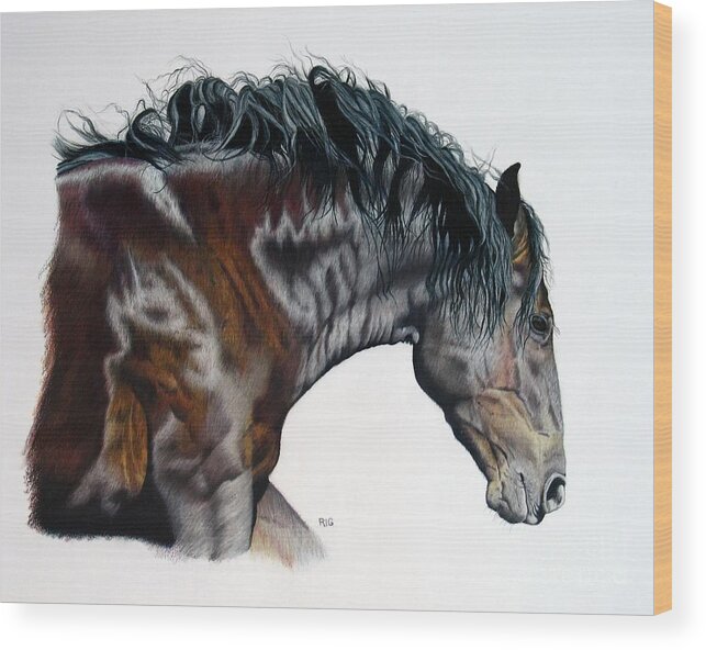Horse Wood Print featuring the drawing Bellus Equus by Rosellen Westerhoff