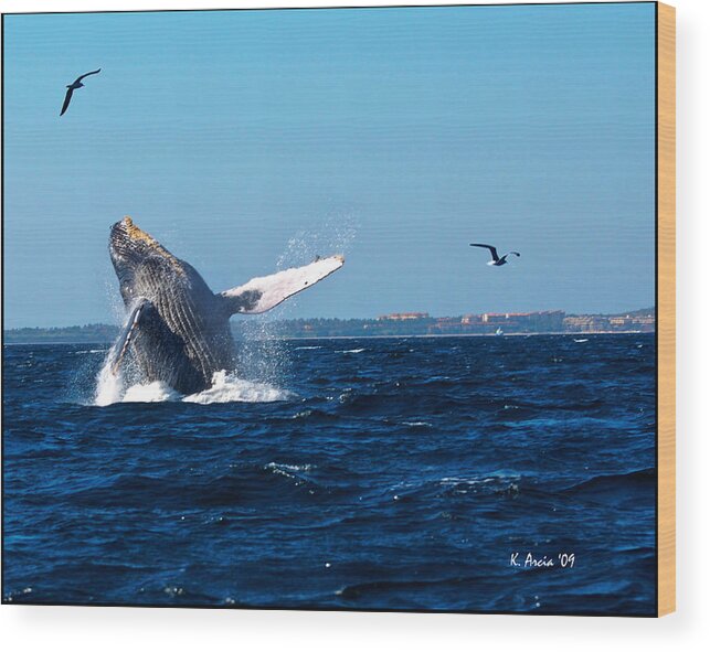 Whale Wood Print featuring the photograph Breaching Whale by Ken Arcia