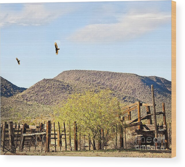Condors Wood Print featuring the photograph California Condors in Arizona by Lee Craig