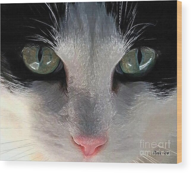 Cats Wood Print featuring the photograph Casey Eyes by Dale  Ford