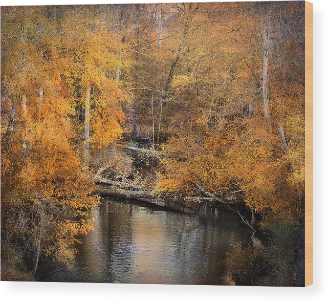 Autumn Wood Print featuring the photograph Golden Blessings by Jai Johnson