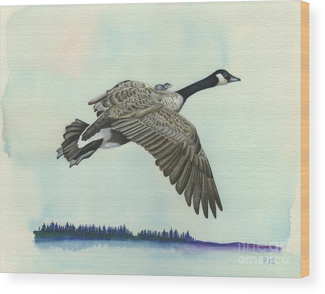 Goose Wood Print featuring the drawing In Flight by Rosellen Westerhoff