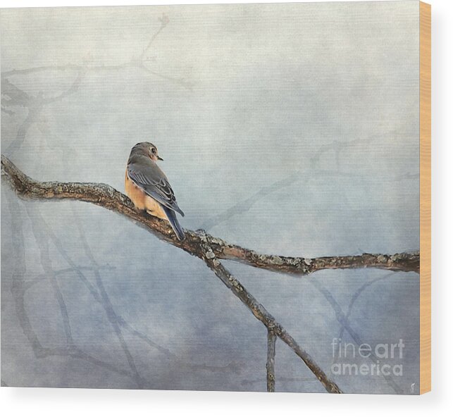 Bird Wood Print featuring the photograph Solitude by Jai Johnson