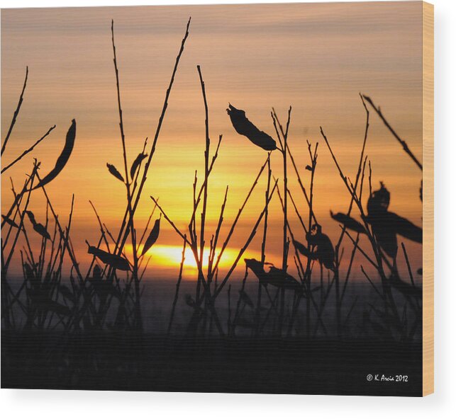 Sunset Wood Print featuring the photograph Sunset in Half Moon Bay by Ken Arcia
