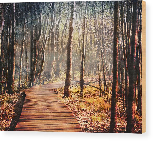 Boardwalk Wood Print featuring the photograph Boardwalk by Jai Johnson