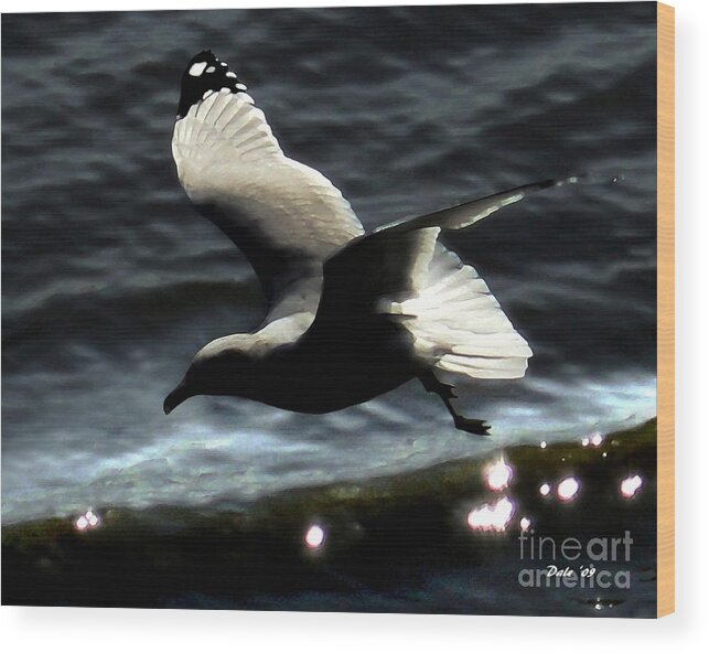 Seabirds Wood Print featuring the digital art Homeward by Dale  Ford