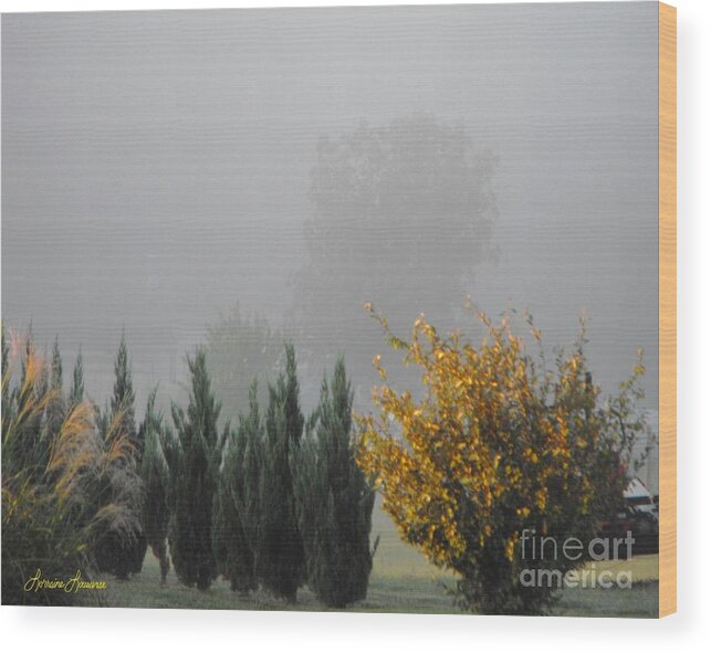 Landscape Wood Print featuring the photograph Misty Fall Day by Lorraine Louwerse