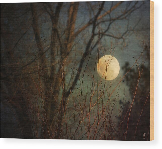 Moon Wood Print featuring the photograph Moonrise by Jai Johnson