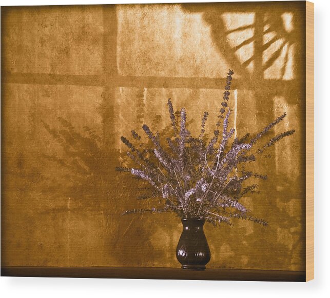 Polychrome Wood Print featuring the photograph Shadow Sage by Mark Forte