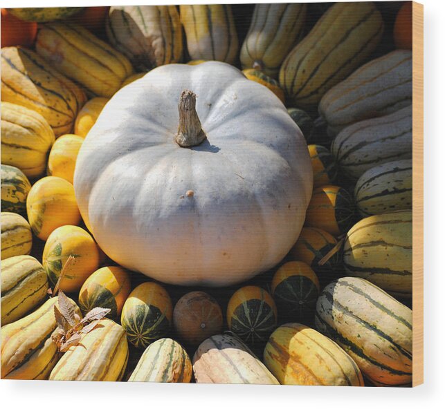 Autumn Wood Print featuring the photograph White Pumpkin by Jai Johnson