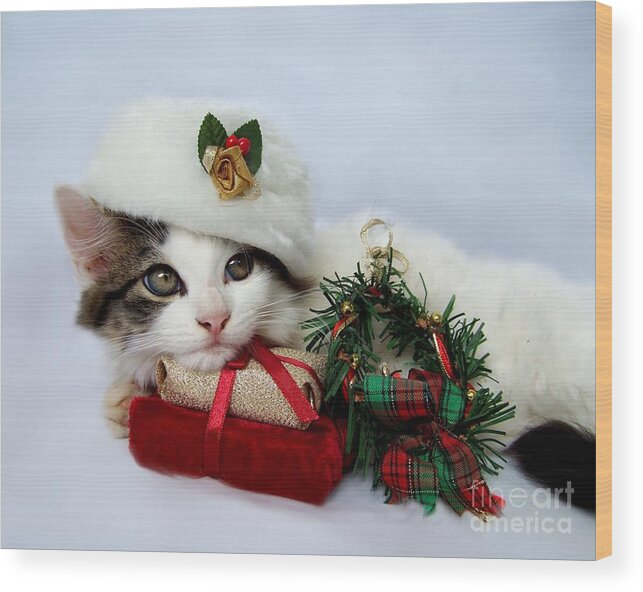 Christmas Wood Print featuring the photograph Christmas Kitten by Jai Johnson