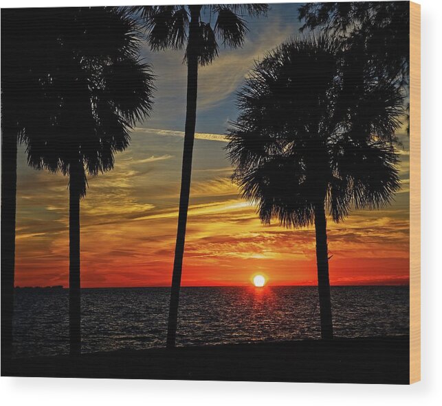 Florida Wood Print featuring the photograph Florida Gulf Sunset by Ronald Lutz