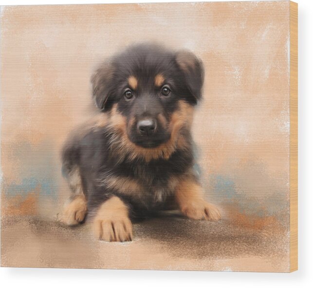 Animal Wood Print featuring the painting German Shepherd Puppy Portrait by Jai Johnson