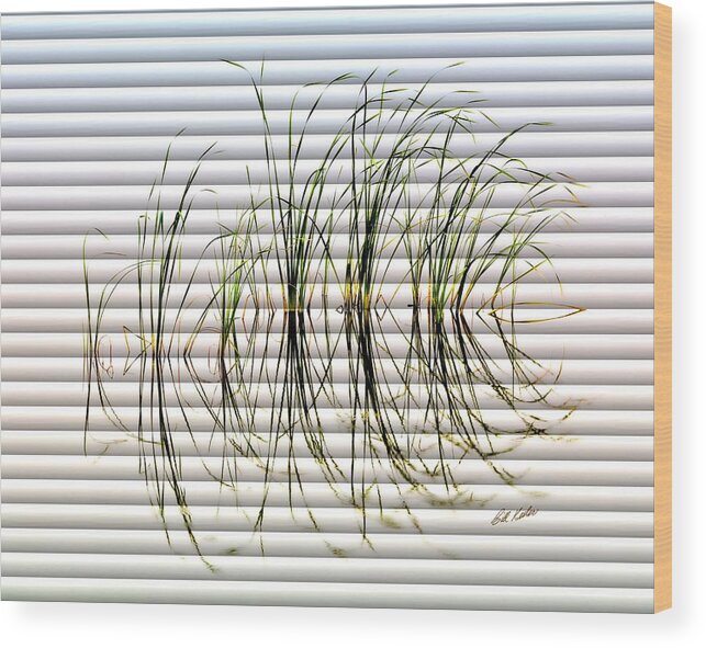 Bill Kesler Photography Wood Print featuring the photograph Graceful Grass - The Slat Collection by Bill Kesler