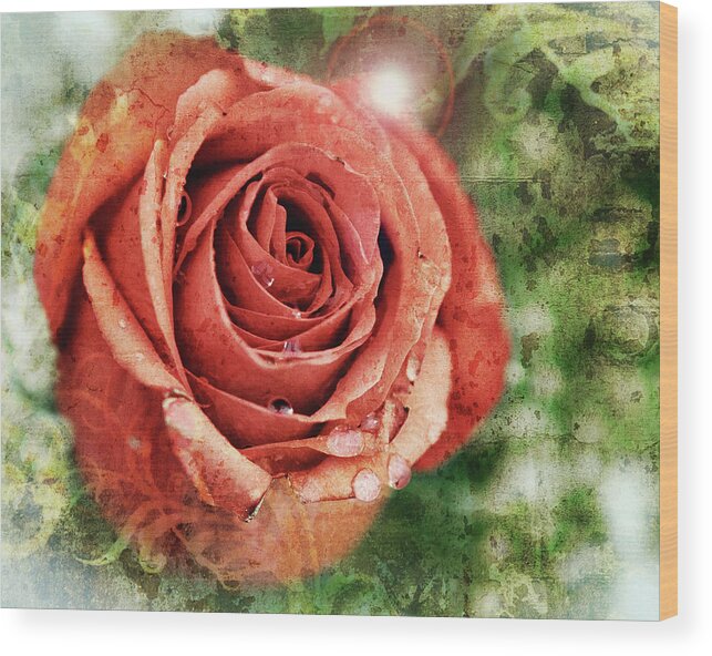 Texture Wood Print featuring the photograph Peach Rose by Sennie Pierson