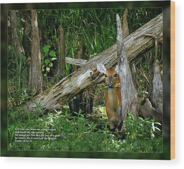 Daily Scripture Wood Print featuring the photograph Psalm 18 32-33 by Dawn Currie