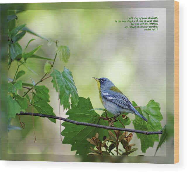 Bible Wood Print featuring the photograph Psalm 59 16 by Dawn Currie