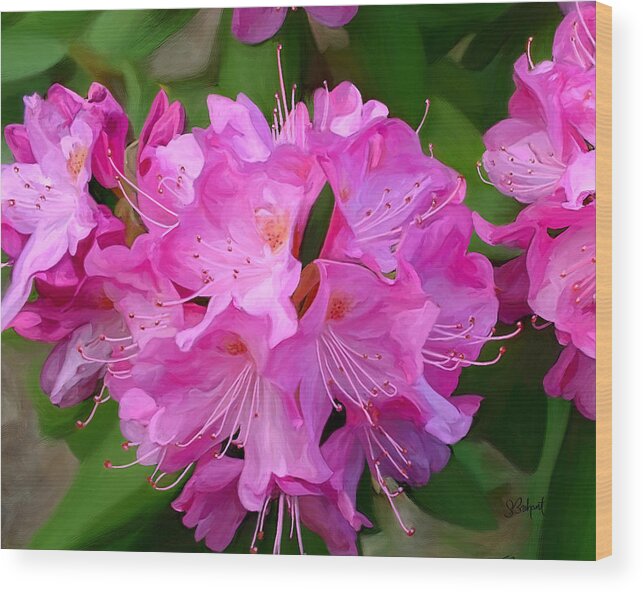 Rhododendron Wood Print featuring the painting Rhododendron by Sue Brehant