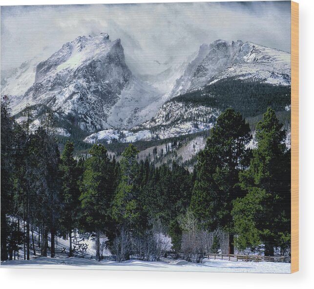 Rocky Mountains Wood Print featuring the photograph Rocky Mountain Winter by Jim Hill