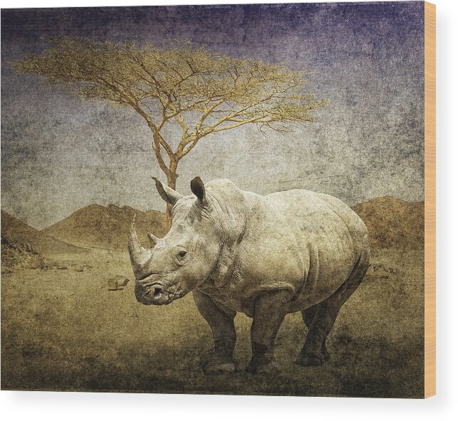 White Rhinoceros Wood Print featuring the digital art White Rhinoceros by Sandra Selle Rodriguez