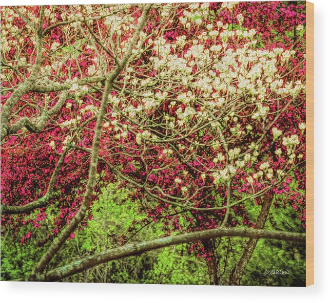 Landscape Wood Print featuring the photograph Spring Blooms by Jim Carlen
