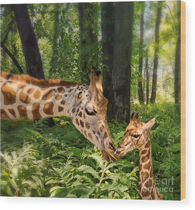 Giraffe Wood Print featuring the photograph Tender Are The Moments Where Love Embraces Time by Mary Lou Chmura