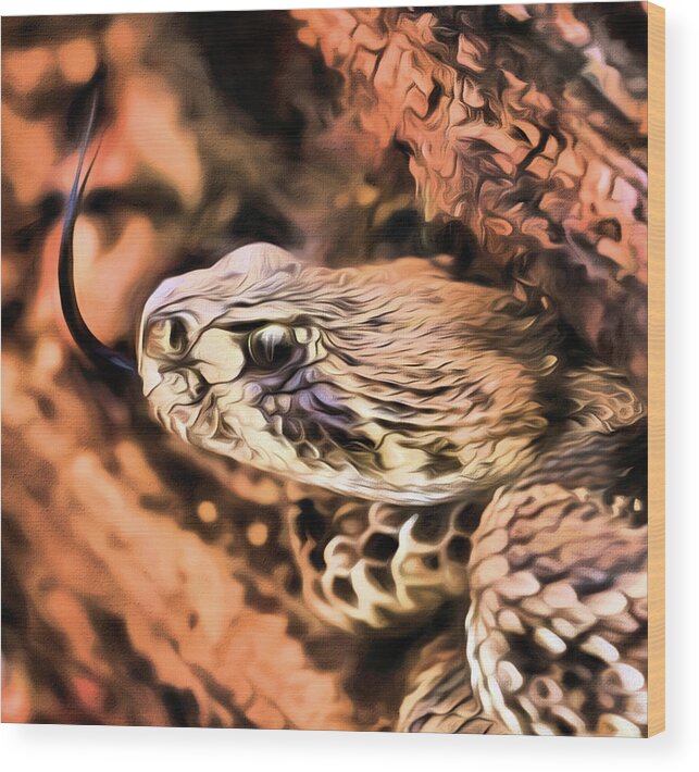 Crotalus Wood Print featuring the photograph Up Close With An Atrox by JC Findley