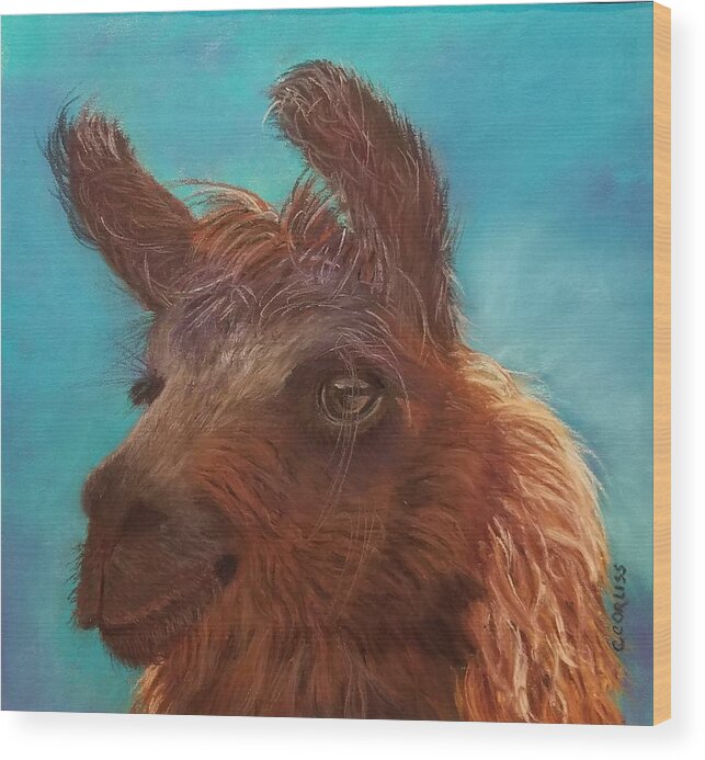 Llama Wood Print featuring the pastel Dolly #1 by Carol Corliss