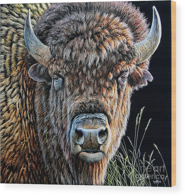 Cynthie Fisher Wood Print featuring the painting Buffalo Scratchboard by Cynthie Fisher