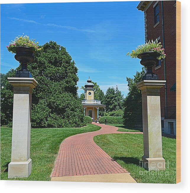 Missouri Wood Print featuring the photograph Pathway to the Observatory by Luther Fine Art