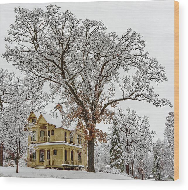 Oak Wood Print featuring the photograph Oakitecture #2 - Historic Stoughton home and oak tree in wintertime by Peter Herman