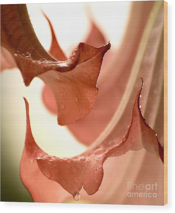 Digital Macro Photography Photographs Wood Print featuring the photograph Dancing Flowers by Leo Symon