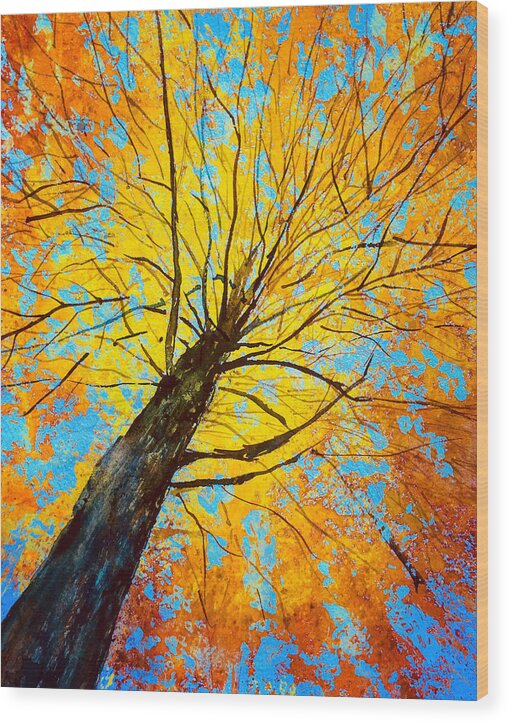 Tree Wood Print featuring the painting Looking Up by Julia S Powell