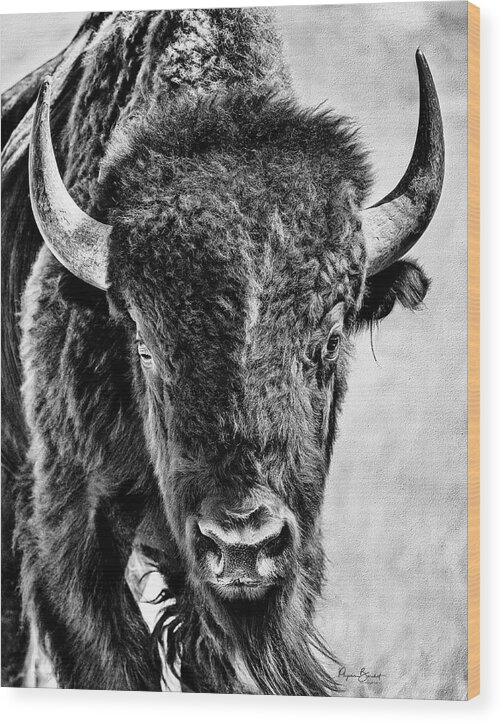 Bison Wood Print featuring the photograph Stand Your Ground by Phyllis Burchett