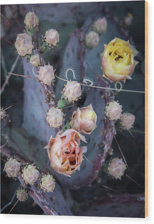 Purple Prickly Pear Wood Print featuring the photograph Purple Prickly Pear by Al White