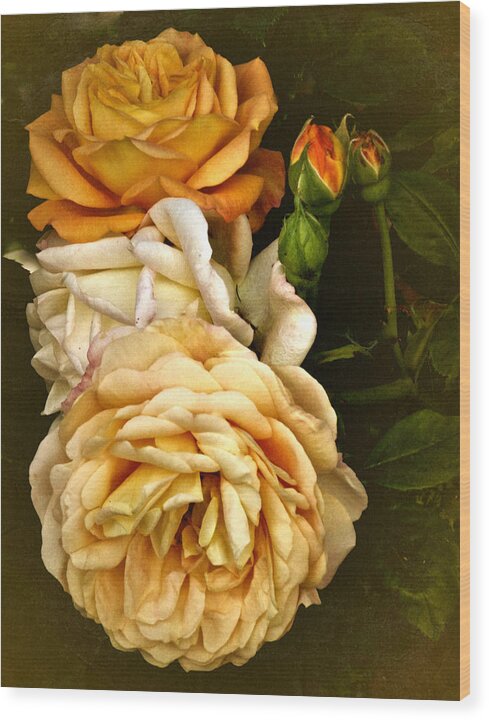 Roses Wood Print featuring the photograph Vintage Roses #1 by Richard Cummings