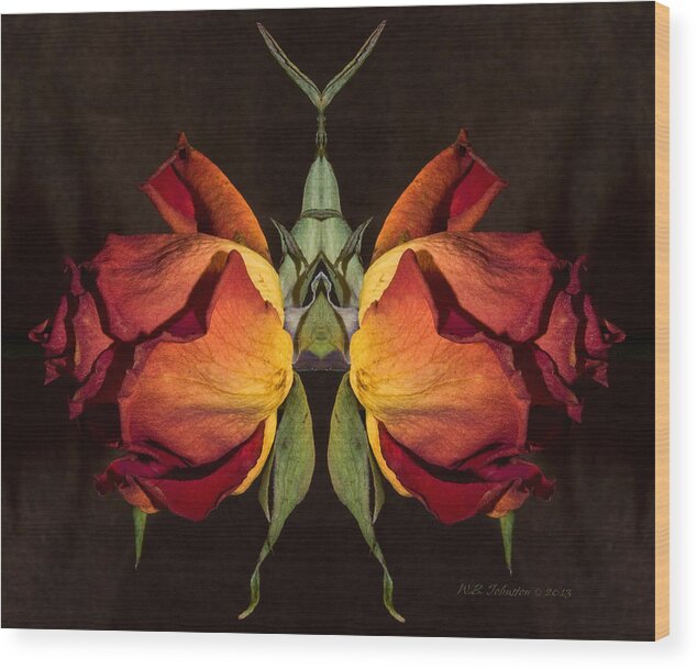 Dried Roses Wood Print featuring the photograph Burlesque by WB Johnston