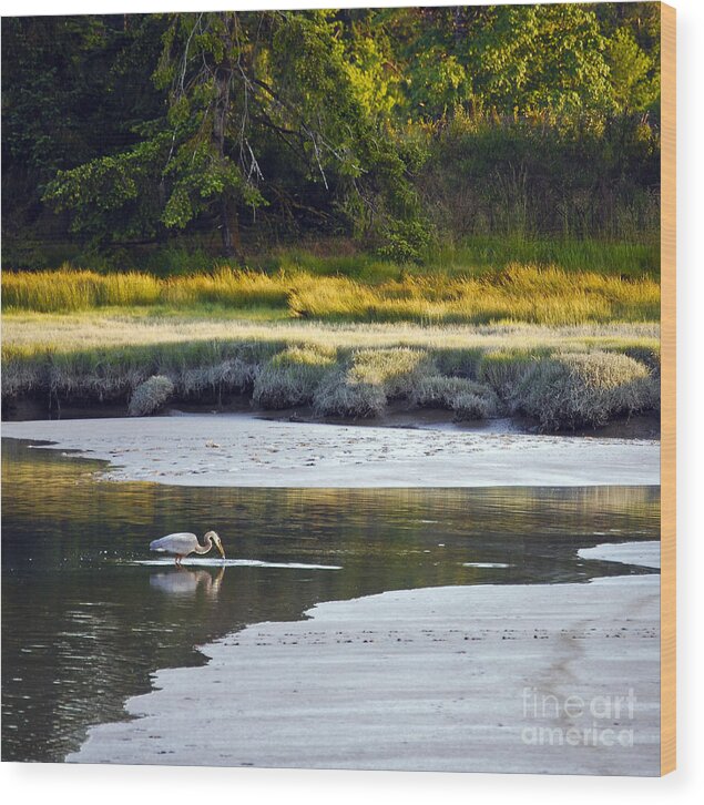 Square Wood Print featuring the photograph Mud Bay Heron 1 by Susan Parish