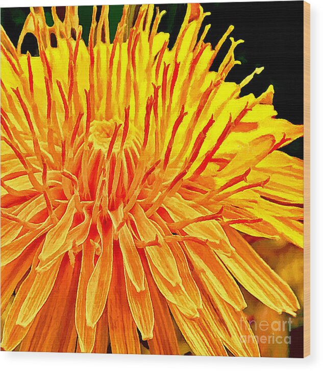 Bobby Wood Print featuring the painting Yellow Chrysanthemum Painting by Bob and Nadine Johnston
