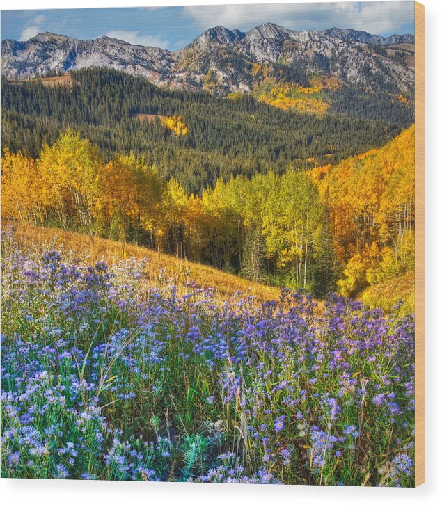 Wasatch Mountains Wood Print featuring the photograph Autumn in the Wasatch Mountains by Douglas Pulsipher
