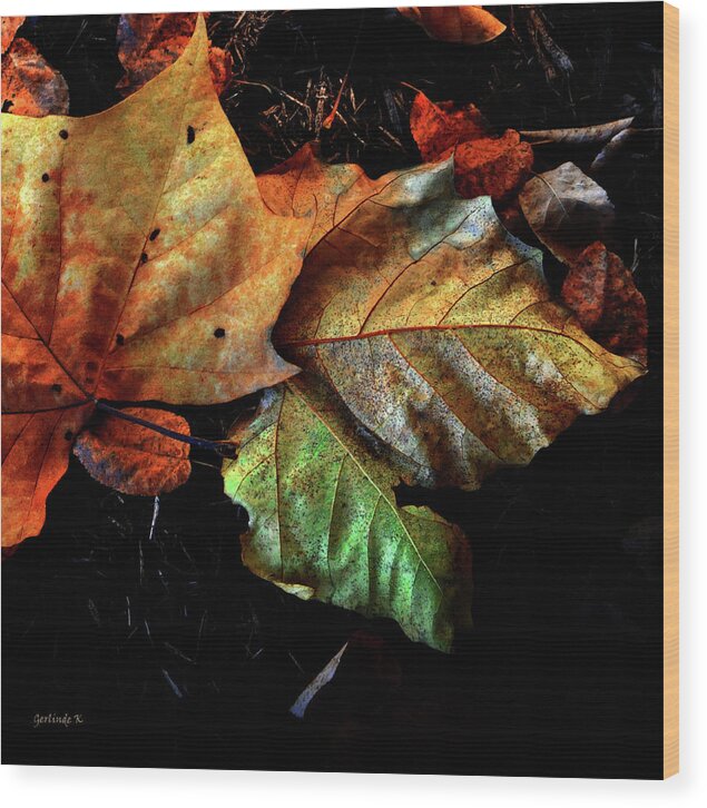 Nature Wood Print featuring the photograph Glorious Autumn Colors by Gerlinde Keating