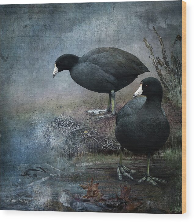 Bird Wood Print featuring the digital art Two Coots #1 by Merrilee Soberg