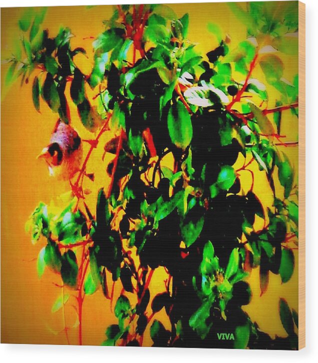 Bird Wood Print featuring the photograph My Tweety Visitor by VIVA Anderson