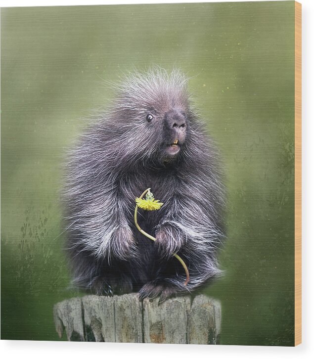 Porcupine Wood Print featuring the digital art Will You Be Mine? by Nicole Wilde