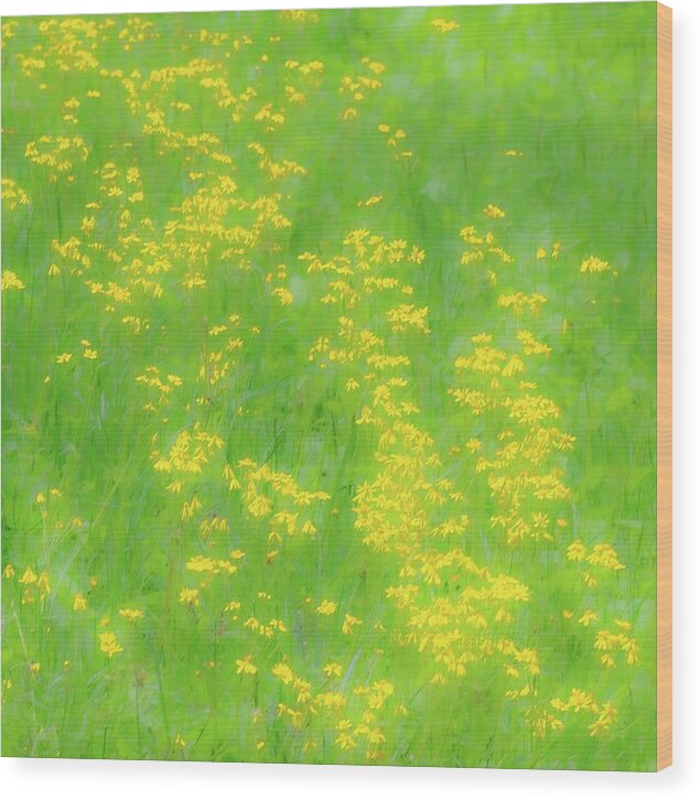Mountains Wood Print featuring the photograph Yellow Flowers Green Grass fx 503 by Dan Carmichael