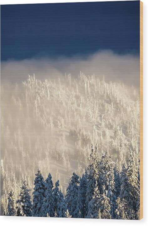 Snow Wood Print featuring the photograph Cloud Blanket by Martin Gollery