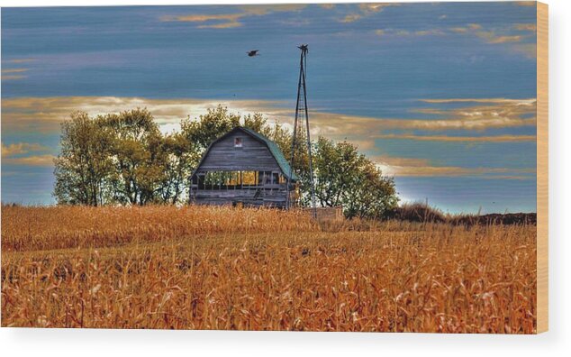 Barn Wood Print featuring the photograph Childhood Memories  by Larry Trupp