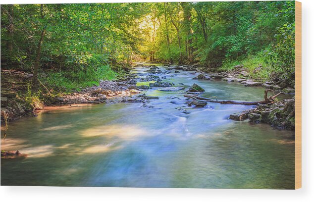 Beautiful Wood Print featuring the photograph Forest creek in Kentucky by Alexey Stiop