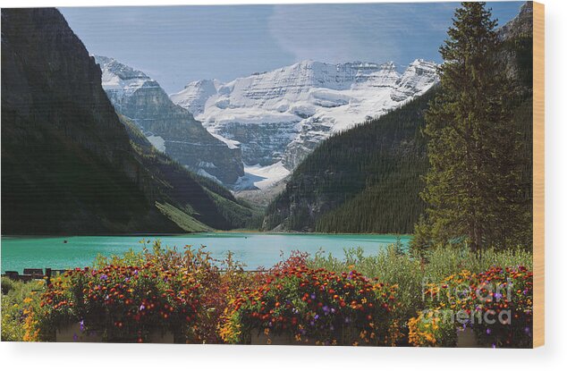 Lake Louise Wood Print featuring the photograph Splendor Of Lake Louise #1 by Frank Wicker